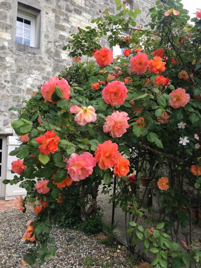 Montagnac-sur-Auvignon L'Horizon De Marianne Bed & Breakfast エクステリア 写真