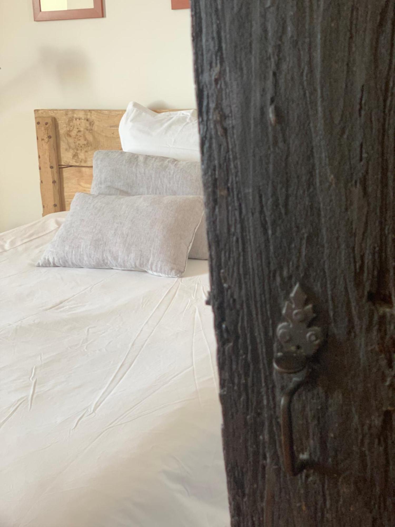 Montagnac-sur-Auvignon L'Horizon De Marianne Bed & Breakfast エクステリア 写真